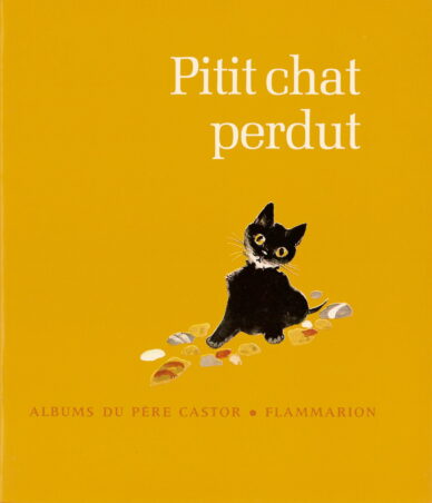 Pitit chat perdut