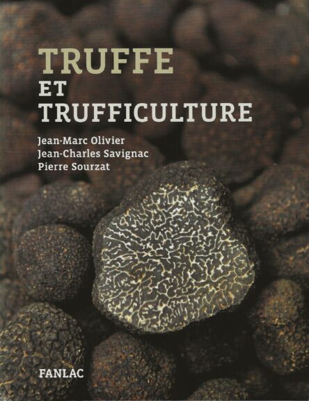 Truffe et trufficulture