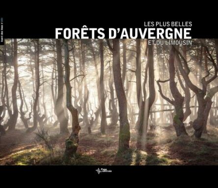 Les plus belles forêts du Limousin et d'Auvergne