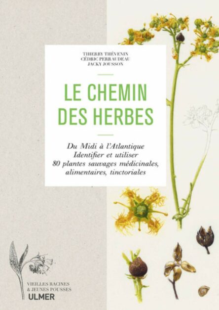 Le chemin des herbes : Du Midi à l'Atlantique, Identifier et utiliser 80 plantes sauvages médicinales, alimentaires, tinctoriales