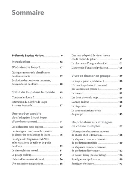 Le loup – Image 2