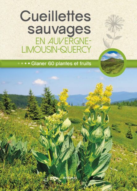 Cueillettes sauvages en Auvergne-Limousin-Quercy... Glaner 60 plantes et fruits