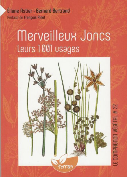Merveilleux Joncs : Leurs 1001 usages