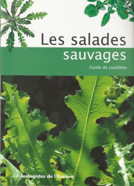 Les salades sauvages : Guide de cueillette