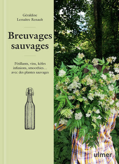 Breuvages sauvages : Pétillants, vins, kéfirs, infusions, smoothies... avec des plantes sauvages