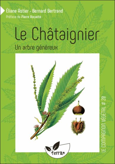 Le Châtaignier : Un arbre généreux