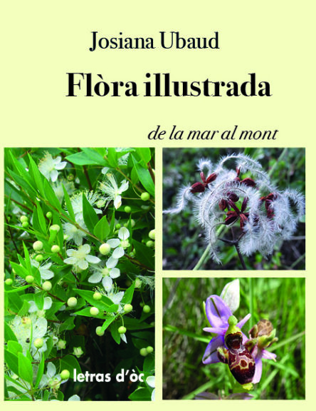 Flòra illustrada : De la mar al mont