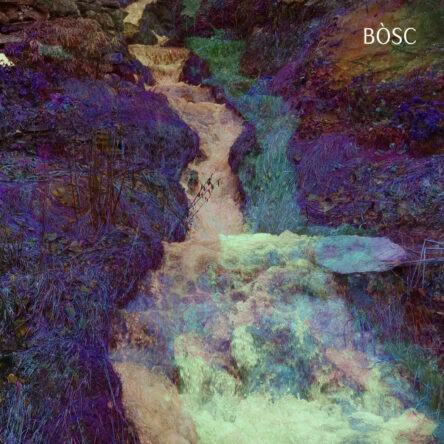 Bòsc (Vinyle)